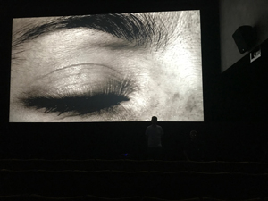 Ahnengalerie: Video und Musik